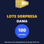 Portada ilustrativa Lote Sorpresa dama 100