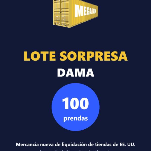 Portada ilustrativa Lote Sorpresa dama 100